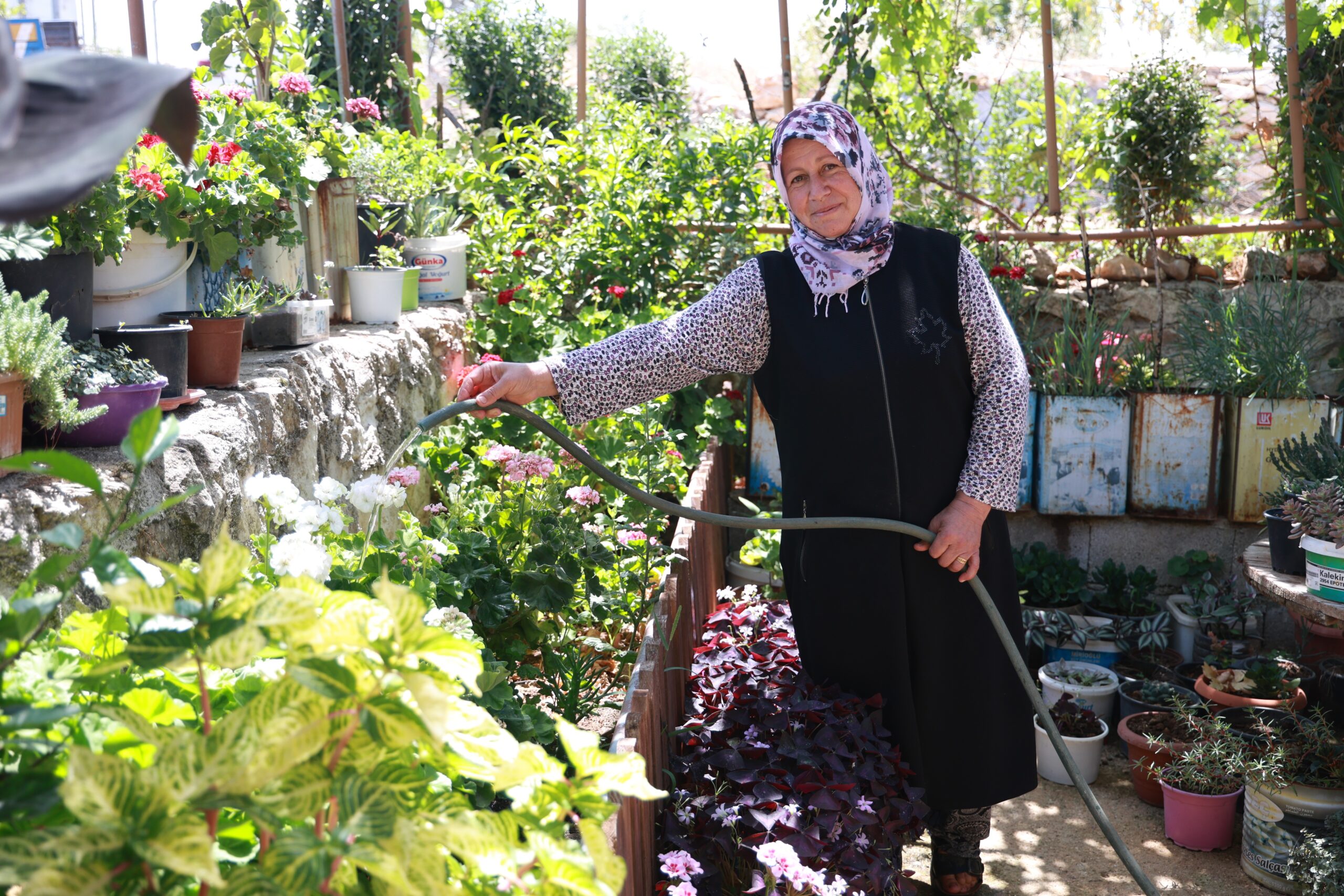 Çiçeklere merak saran kadın, 500’ten fazla farklı çiçek yetiştirmeyi başardı
