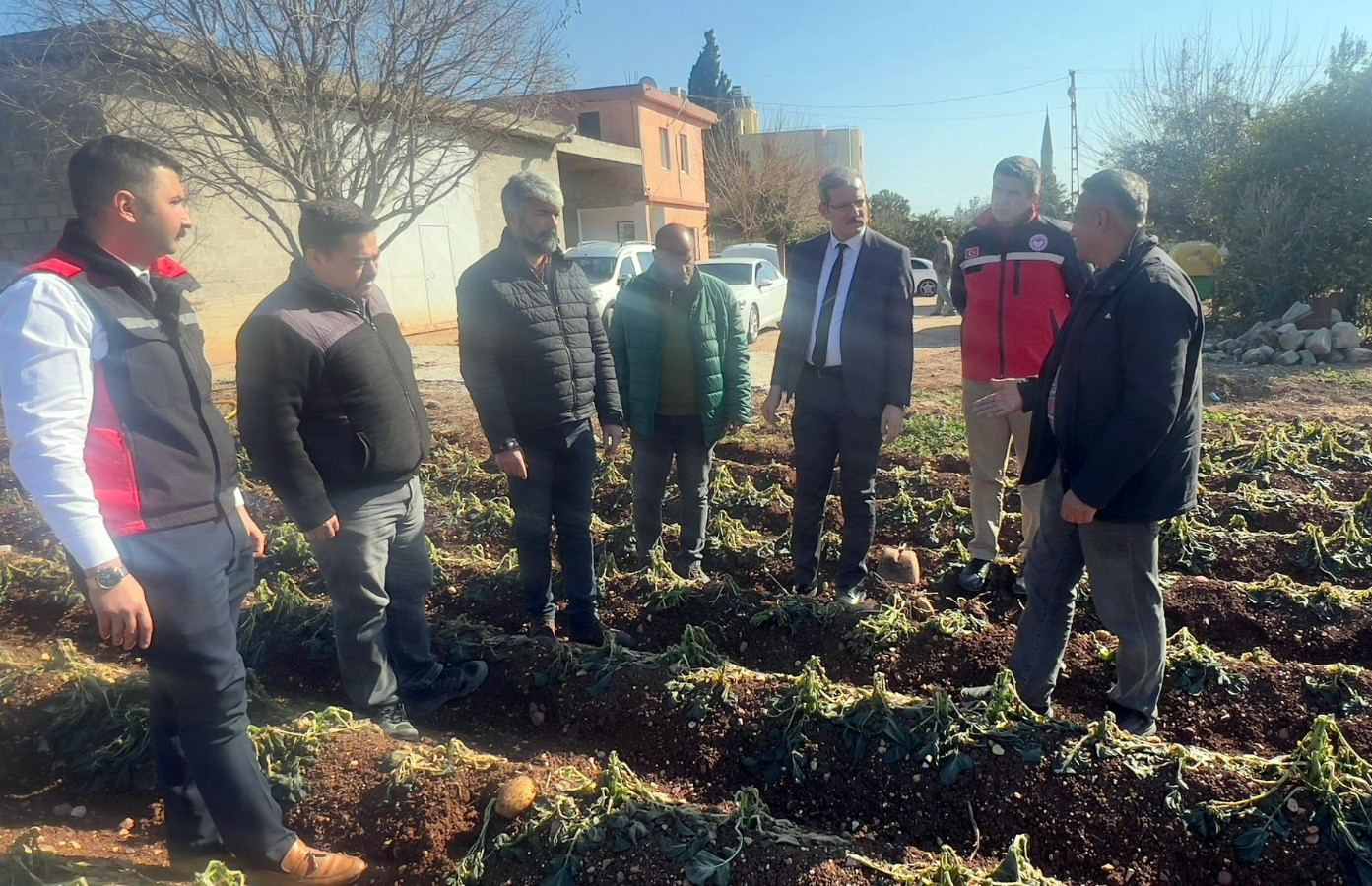 Adana İl Tarım ve Orman Müdürlüğü 3 günde 500 bin dekar alanı taradı