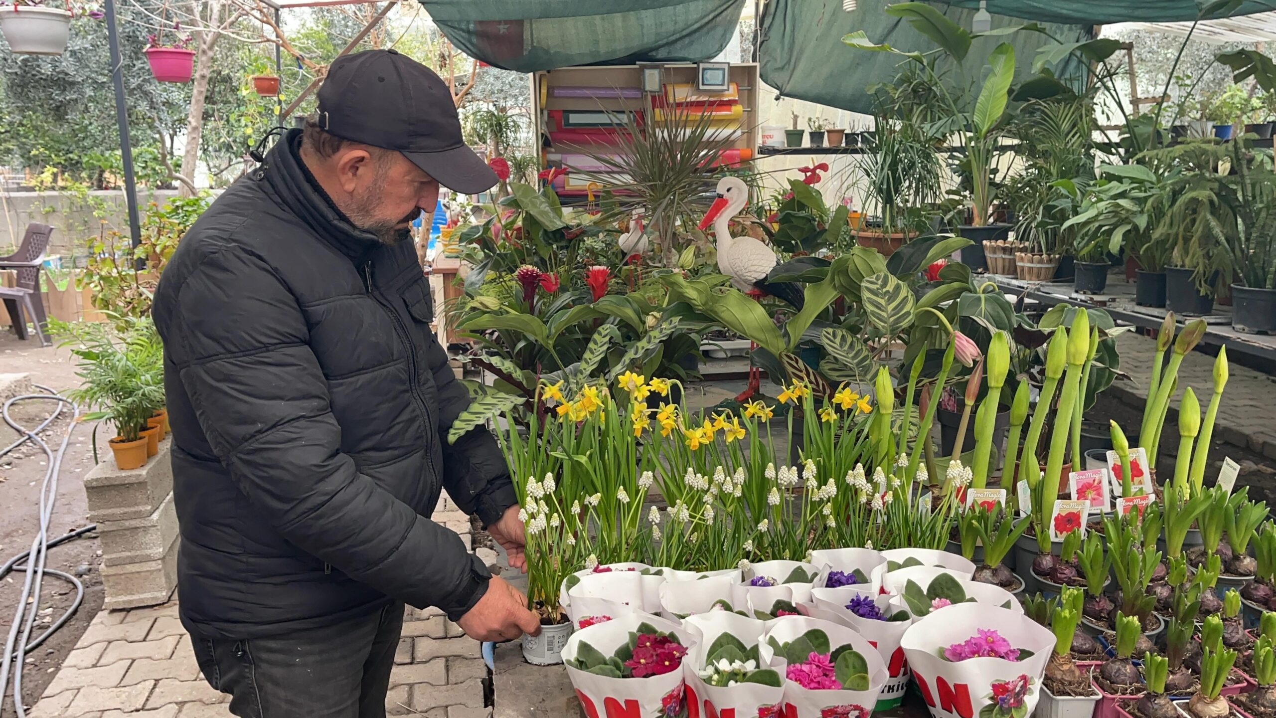 Ağabeyinden hatıra kalan çiçekçi dükkânını botanik kafeye çevirdi