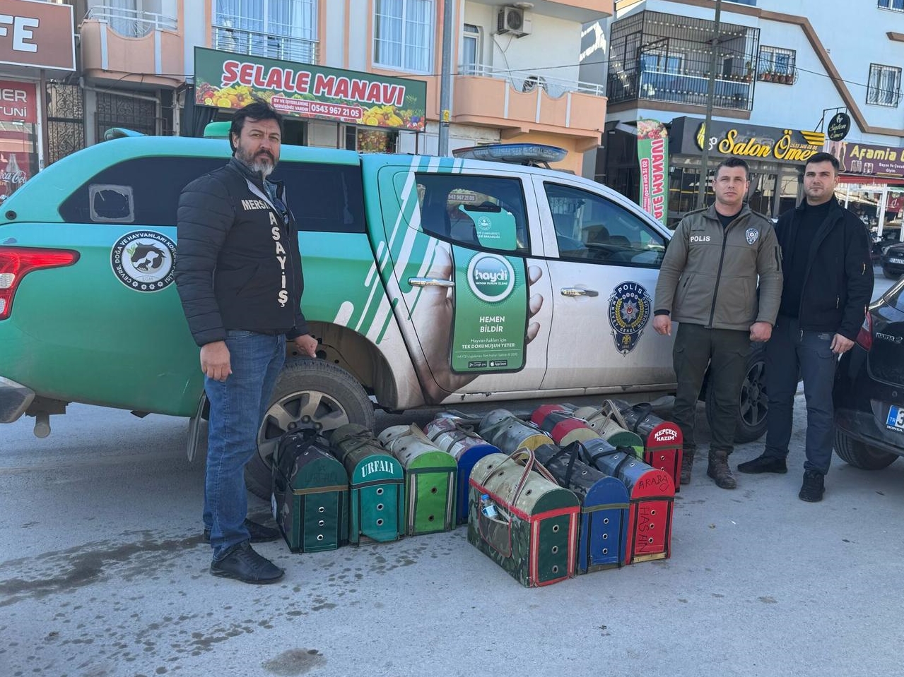 Mersin’de horoz dövüşüyle bahis oynatılan kıraathanedeki 128 kişiye para cezası