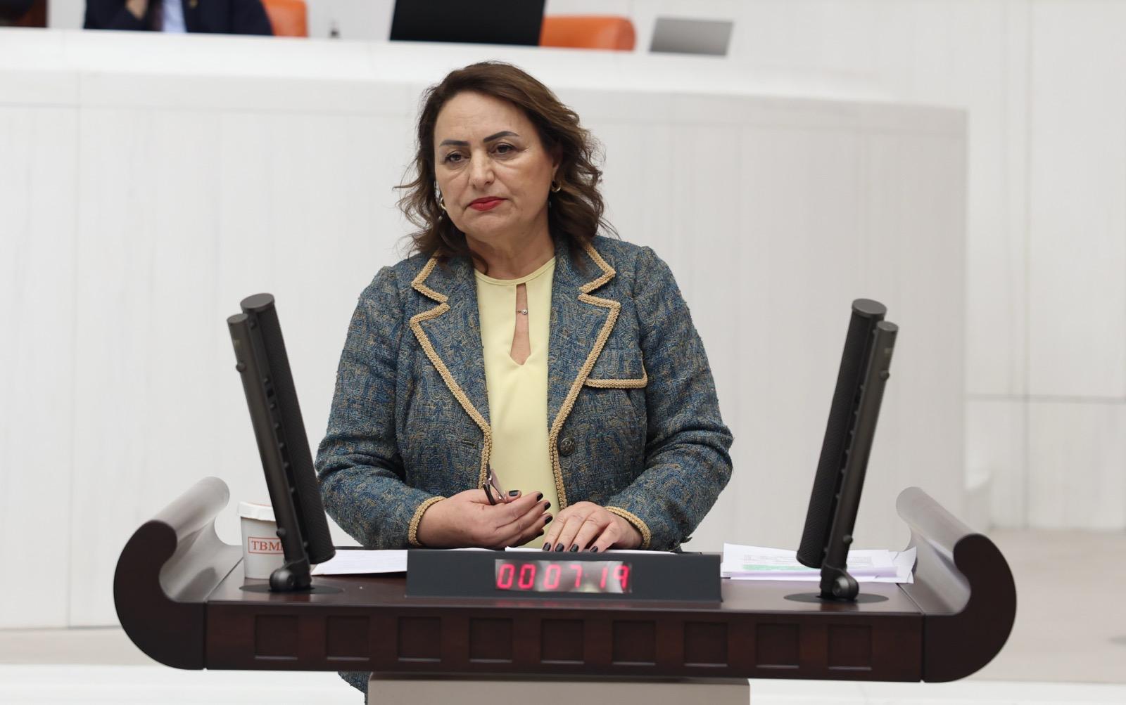 Müzeyyen Şevkin: “TÜBİTAK siyasallaşıyor, KOSGEB’in içi boşaltılıyor”