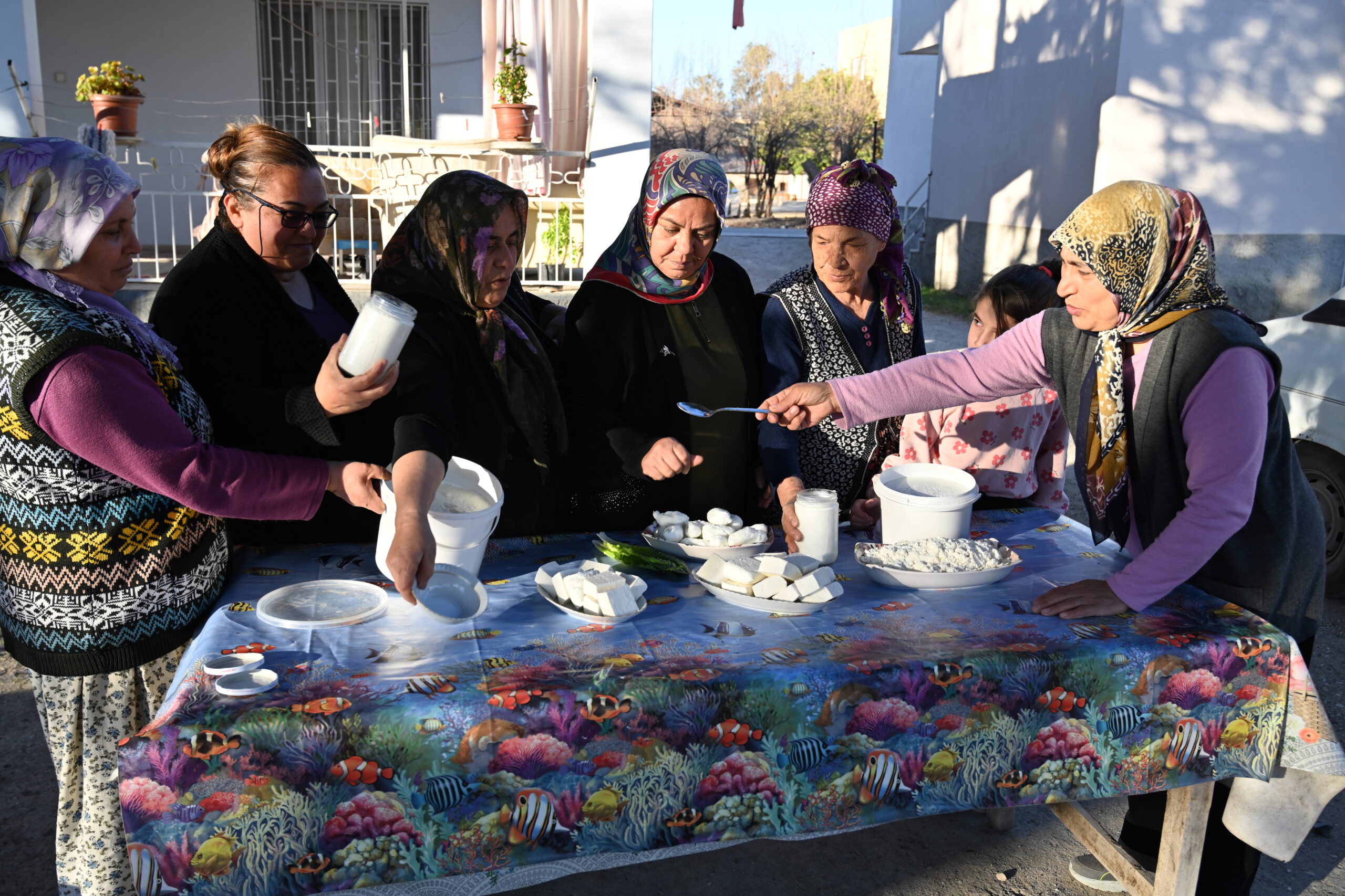 Osmaniye’de manda sütüne kooperatifle değer katan kadınlar mandıra kurmayı hedefliyor