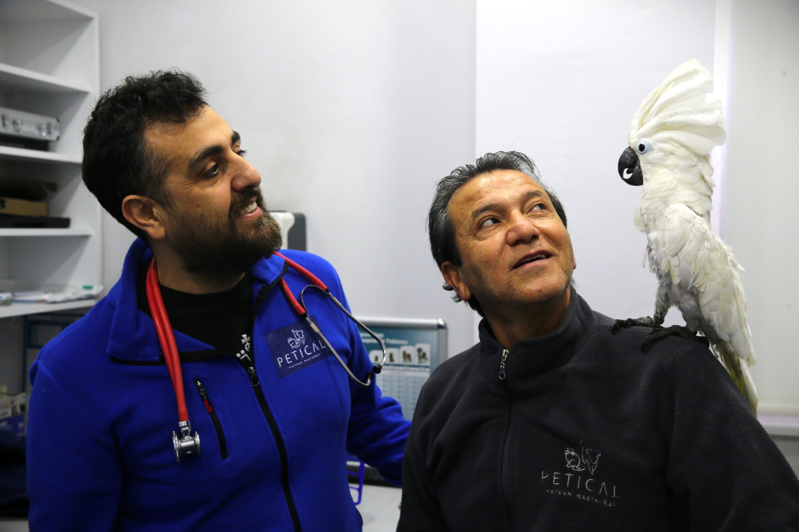 Veterinerlerle dans eden papağan “Ares” ilgi odağı oldu