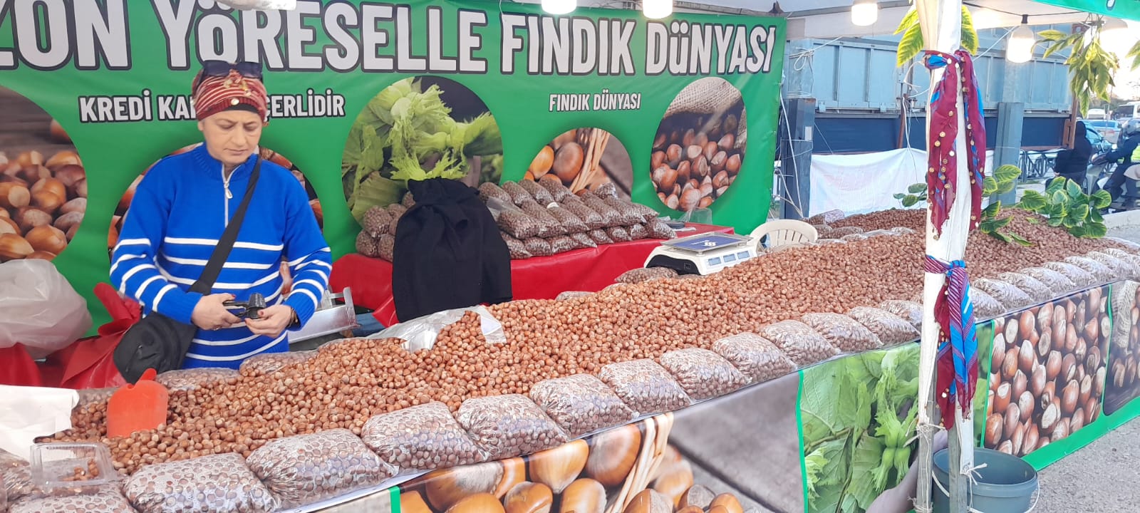 Dünyanın en üstün özellikli tombul fındıkları;Giresun ve Trabzon
