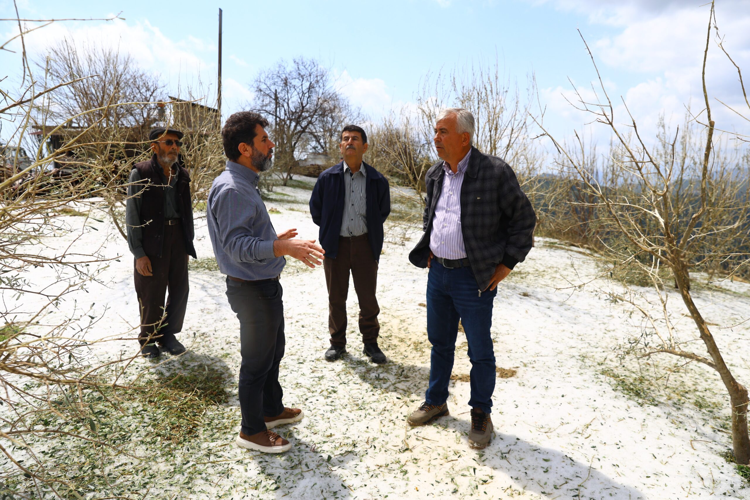 Dolu yağışının zarar verdiği sera ve zeytin bahçelerinde hasar tespit çalışması yapılıyor
