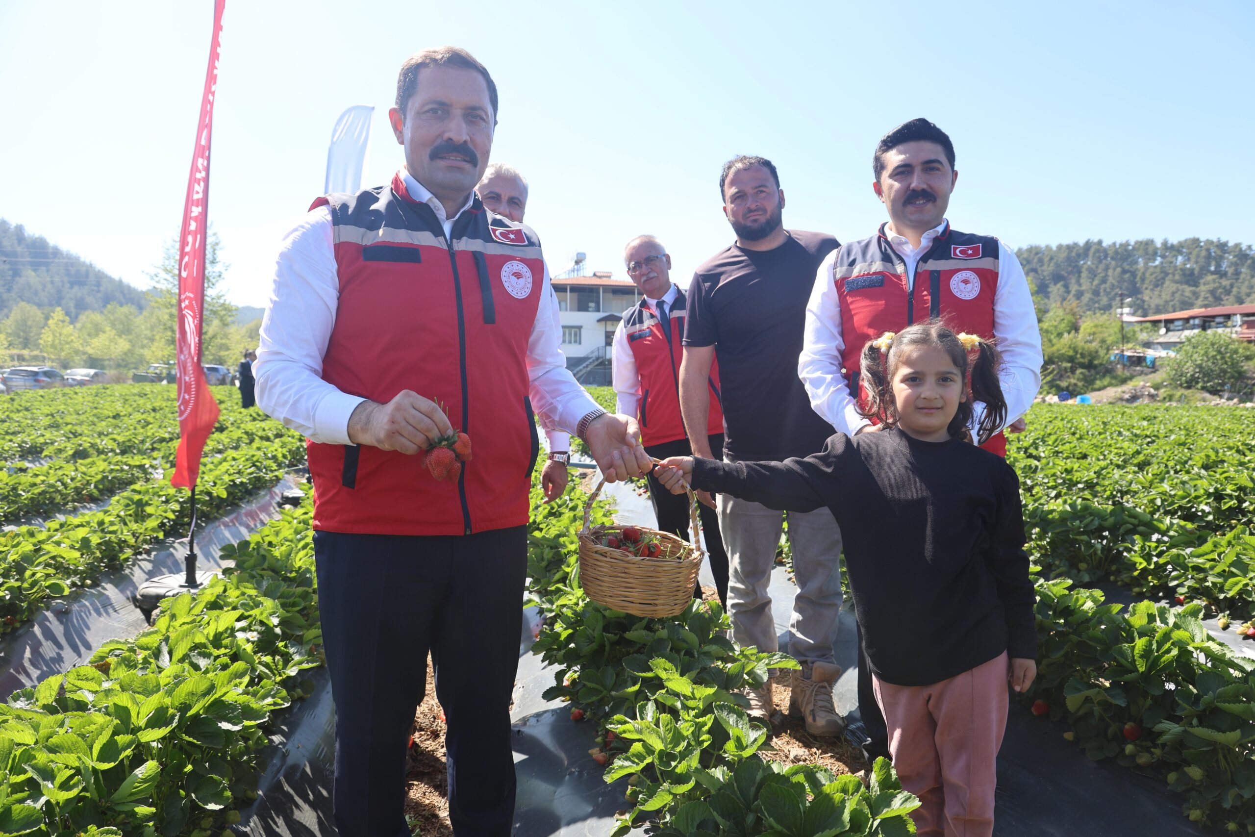 Vali Masatlı: “Bu sene çilekten 9 bin 300 ton rekolte bekliyoruz”