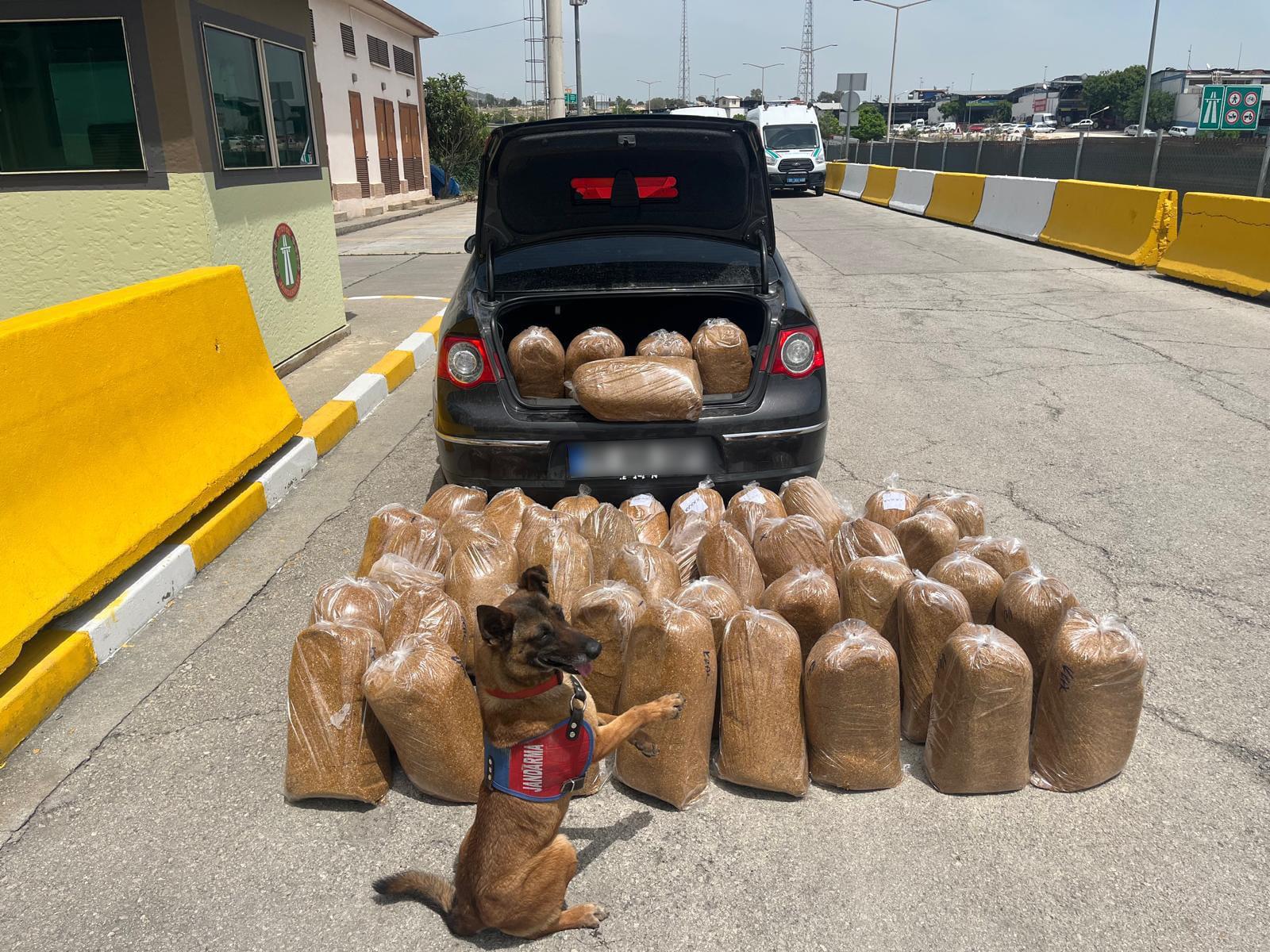 292 bin 102 makaron ve 250 kilogram bandrolsüz tütün ele geçirildi