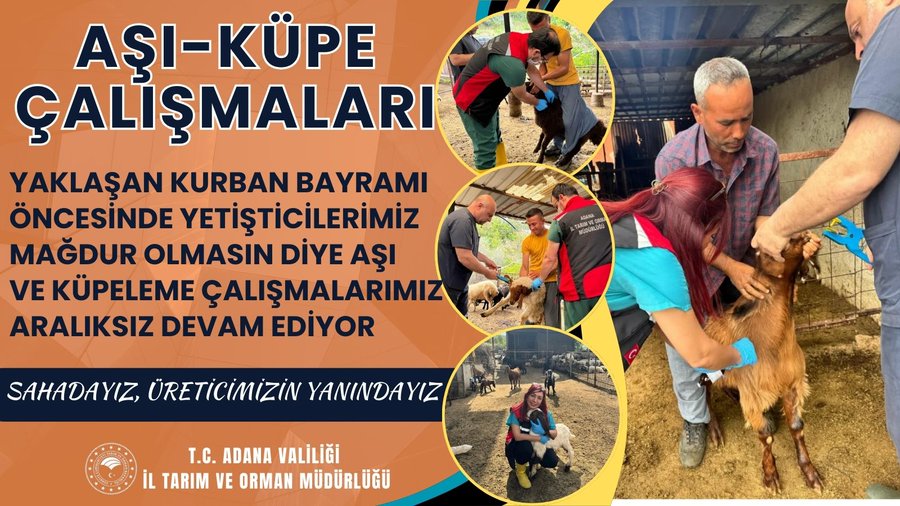 Adana’da Kurban Bayramı öncesi denetimler sıkılaştı
