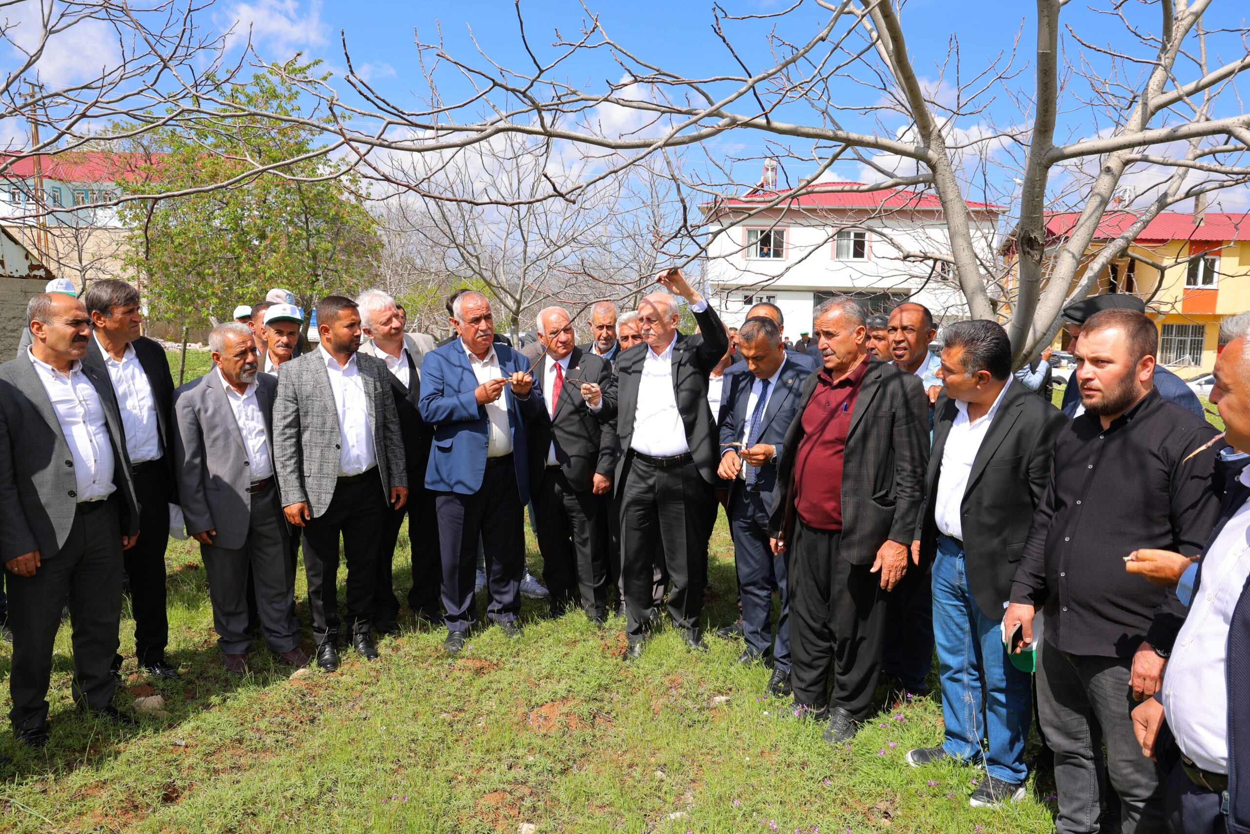 TZOB Genel Başkanı Bayraktar: “65 ilimizde meyve bahçelerimiz don felaketinden etkilendi”